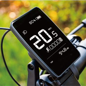 High cost-effective display segment-code LCD screen Bluetooth function for Ebike