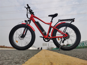 Ebike 2022 new product 26 inch Disc Brake snow electric bike fat tire wheel bicycle cycle with 48v 750w motor