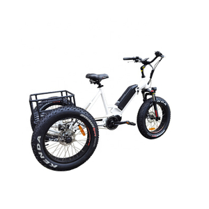 Electric Trike 48V 350W/500W Electric Tricycle 3wheel Cargo Bike mid drive Disc Brake 20 inch fat tire ebike