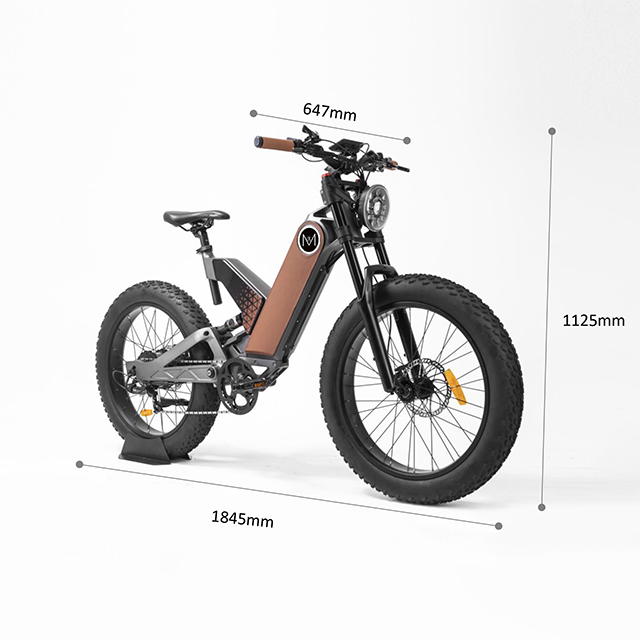 48V 750W real hub motor ebike Magnesium Alloy Frame 24 inch Fat tire Off Road Electric motorcycle