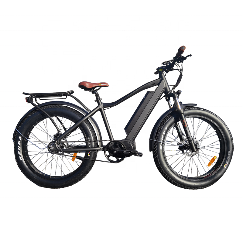1000W mid dive Ebike fat tire off road electric bicycle 48V 26 inch e-bike with colorful LCD display electric mountain bicycle