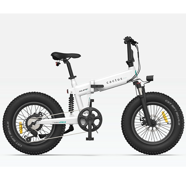 Electric folding bicycle 48V10Ah 250W rear hub motor Fat tire ebike