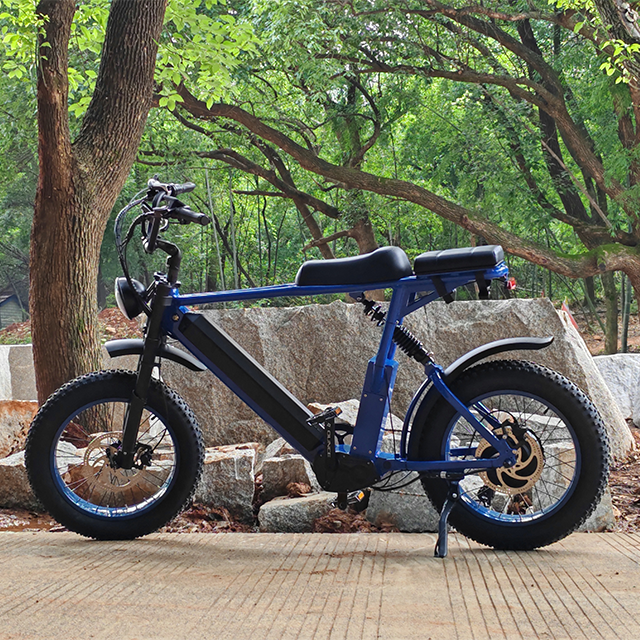 52V 30Ah ebike electric bike1500W hub motor fat tire electric bicycle Supre 73 fatbike electric dirt bike 20*4.0 fat bike